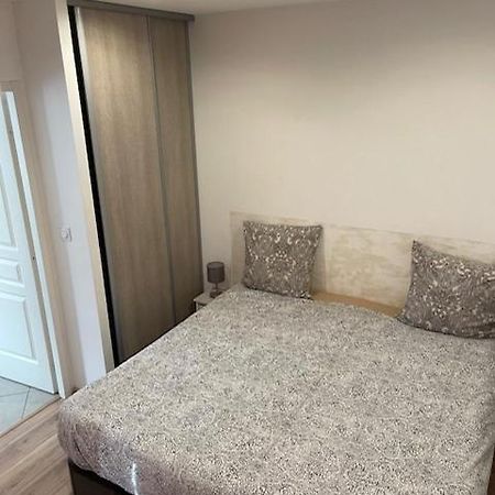 Appartement Oasis Proche De Lyon Groupama Lcdl ميزيو المظهر الخارجي الصورة
