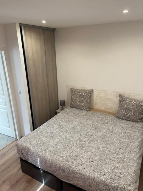 Appartement Oasis Proche De Lyon Groupama Lcdl ميزيو المظهر الخارجي الصورة